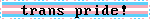trans pride blinkie